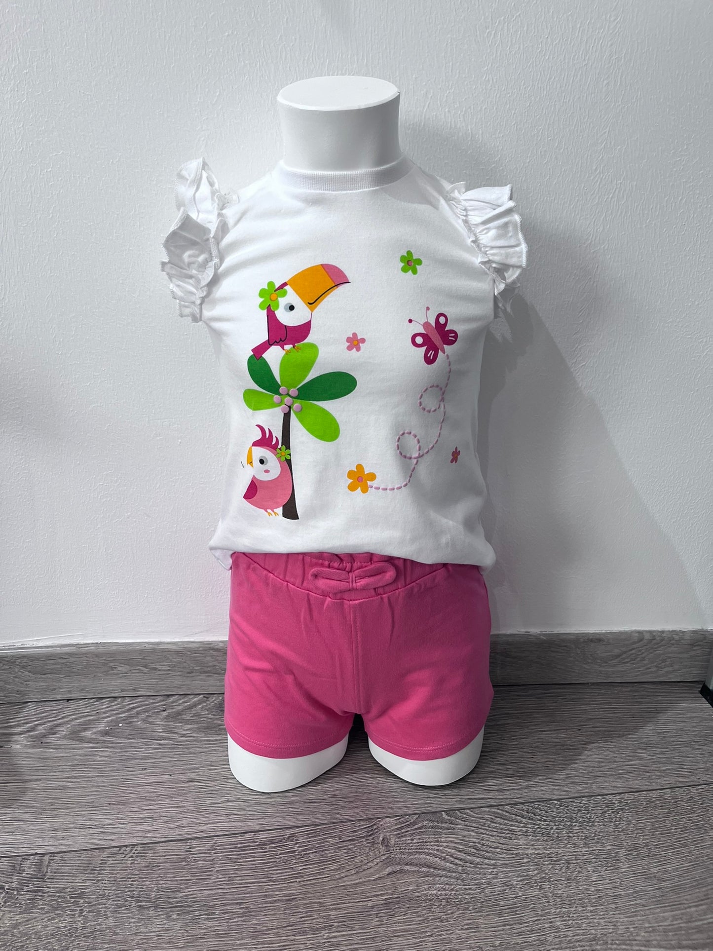 Ensemble Zoé