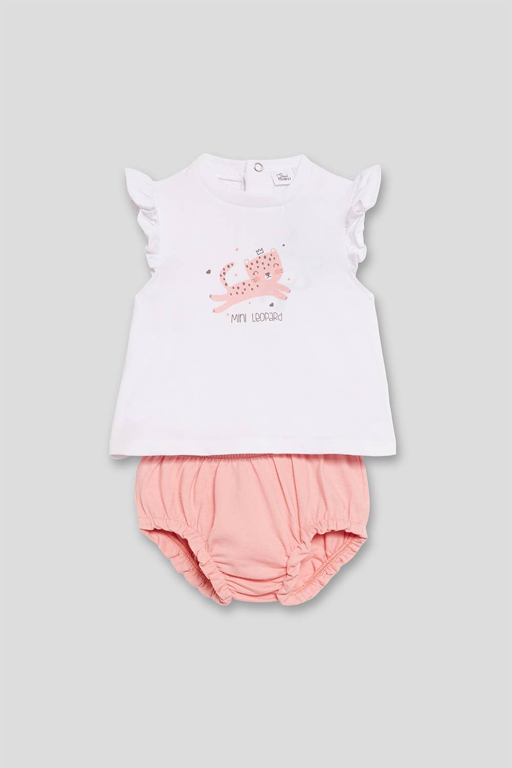 Ensemble Ambre