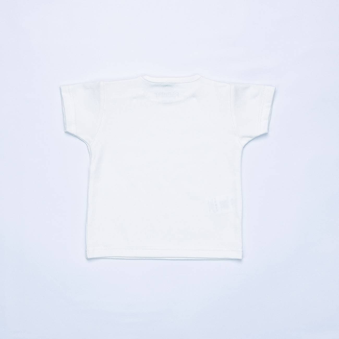 Ensemble Hugues