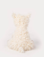Peluche Liam