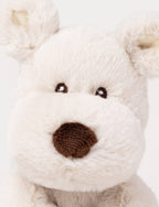 Peluche Teddy