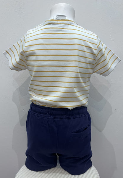 Conjunto Theo