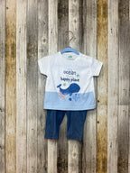 Conjunto Vincent