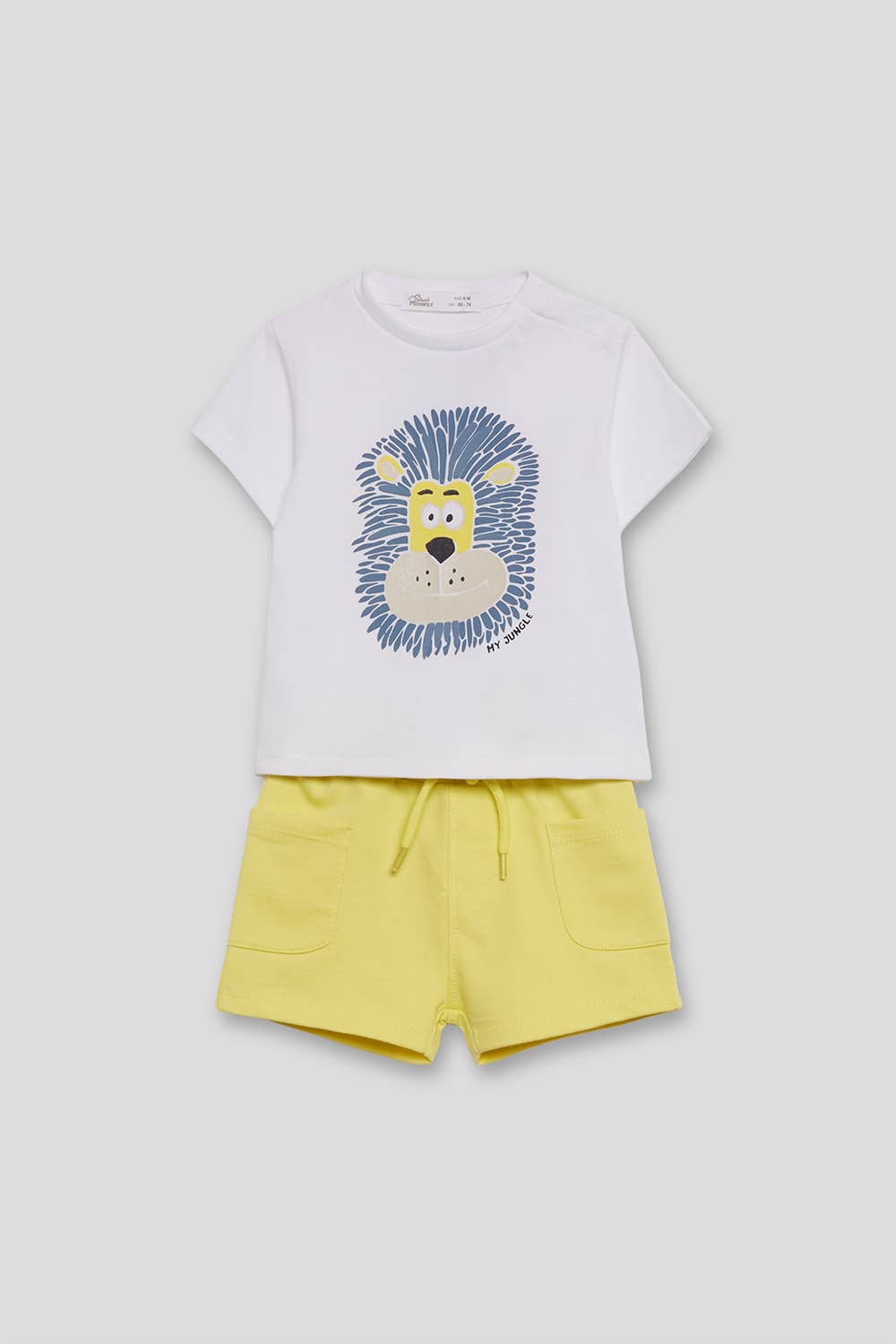 Conjunto Amaury