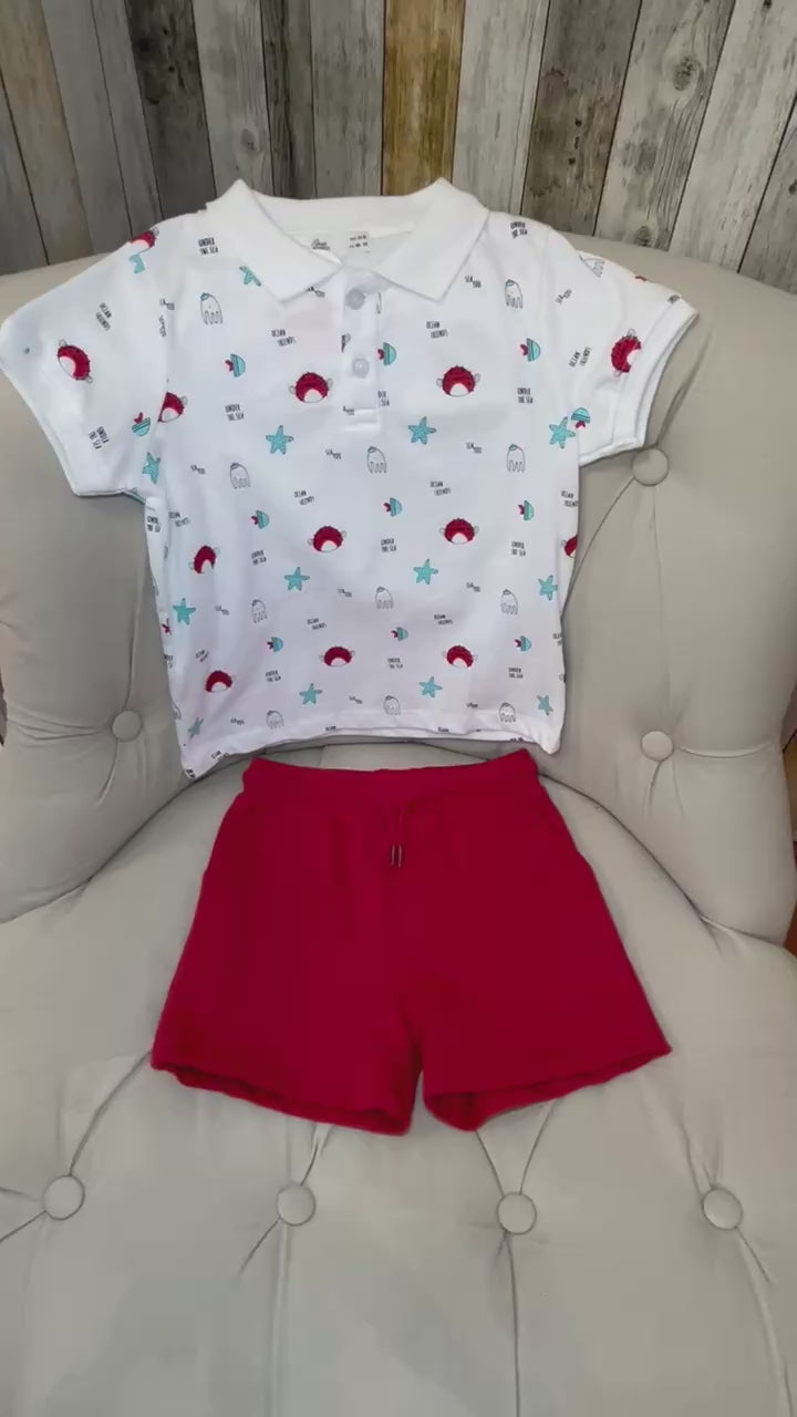 Robin Ensemble