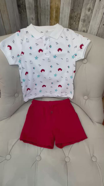 Robin Ensemble